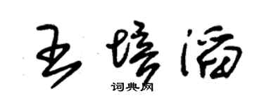 朱锡荣王培滔草书个性签名怎么写