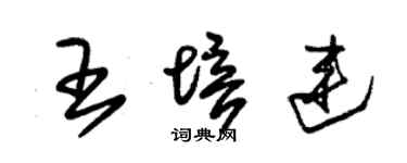 朱锡荣王培连草书个性签名怎么写