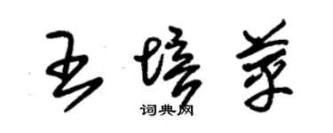 朱锡荣王培苹草书个性签名怎么写