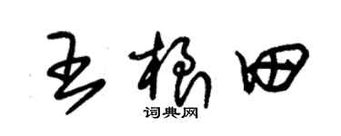 朱锡荣王根田草书个性签名怎么写