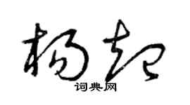 曾庆福杨起草书个性签名怎么写