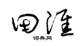 曾庆福田淮草书个性签名怎么写