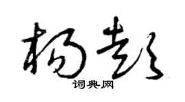 曾庆福杨彭草书个性签名怎么写