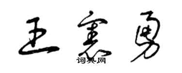 曾庆福王宪勇草书个性签名怎么写