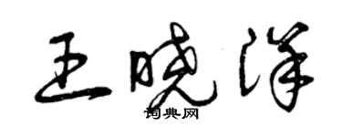 曾庆福王晓洋草书个性签名怎么写