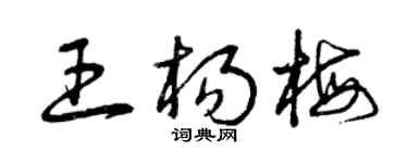 曾庆福王杨梅草书个性签名怎么写