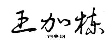 曾庆福王加栋草书个性签名怎么写