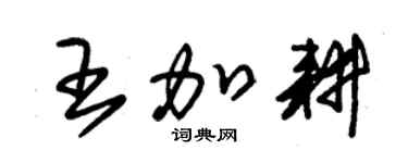 朱锡荣王加耕草书个性签名怎么写