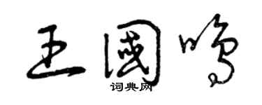 曾庆福王国鸣草书个性签名怎么写