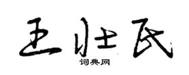 曾庆福王壮民草书个性签名怎么写