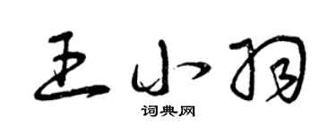 曾庆福王小羽草书个性签名怎么写