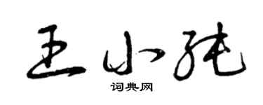 曾庆福王小纯草书个性签名怎么写