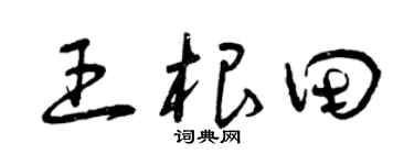 曾庆福王根田草书个性签名怎么写