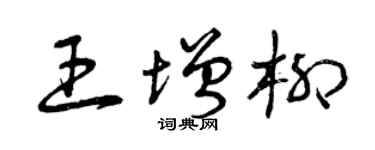 曾庆福王增柳草书个性签名怎么写