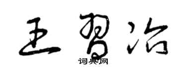 曾庆福王习冶草书个性签名怎么写