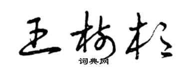 曾庆福王树杉草书个性签名怎么写