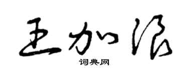 曾庆福王加浪草书个性签名怎么写