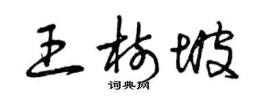 曾庆福王树坡草书个性签名怎么写