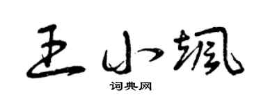 曾庆福王小飒草书个性签名怎么写