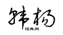 曾庆福韩杨草书个性签名怎么写