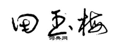 曾庆福田玉梅草书个性签名怎么写