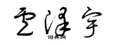 曾庆福卢泽宇草书个性签名怎么写