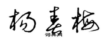 曾庆福杨春梅草书个性签名怎么写