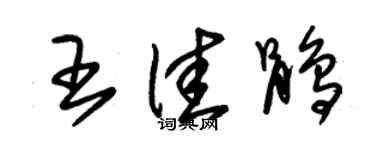 朱锡荣王佳鹃草书个性签名怎么写