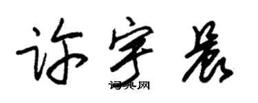 朱锡荣许宇晨草书个性签名怎么写