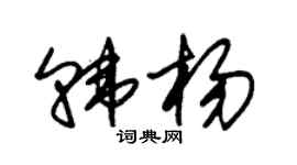 朱锡荣韩杨草书个性签名怎么写