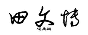 朱锡荣田文博草书个性签名怎么写