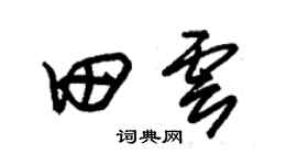 朱锡荣田云草书个性签名怎么写