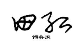 朱锡荣田红草书个性签名怎么写