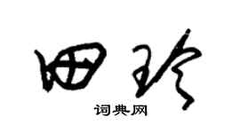 朱锡荣田玲草书个性签名怎么写