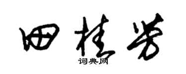 朱锡荣田桂芳草书个性签名怎么写