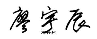 朱锡荣廖宇辰草书个性签名怎么写