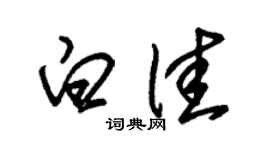 朱锡荣白佳草书个性签名怎么写