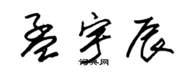 朱锡荣孟宇辰草书个性签名怎么写