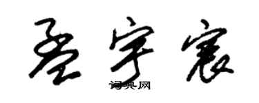 朱锡荣孟宇宸草书个性签名怎么写