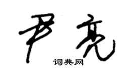 朱锡荣尹亮草书个性签名怎么写
