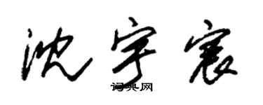 朱锡荣沈宇宸草书个性签名怎么写