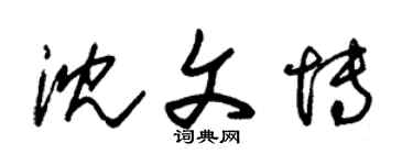 朱锡荣沈文博草书个性签名怎么写