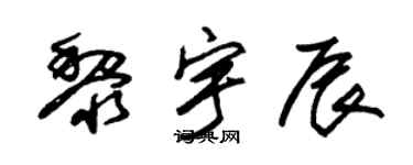 朱锡荣黎宇辰草书个性签名怎么写