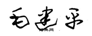 朱锡荣毛建平草书个性签名怎么写