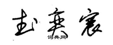 朱锡荣武奕宸草书个性签名怎么写