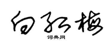 朱锡荣向红梅草书个性签名怎么写