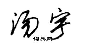 朱锡荣汤宇草书个性签名怎么写