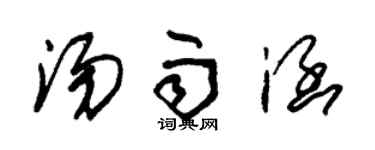 朱锡荣汤雨涵草书个性签名怎么写