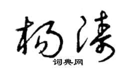 曾庆福杨涛草书个性签名怎么写