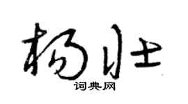 曾庆福杨壮草书个性签名怎么写